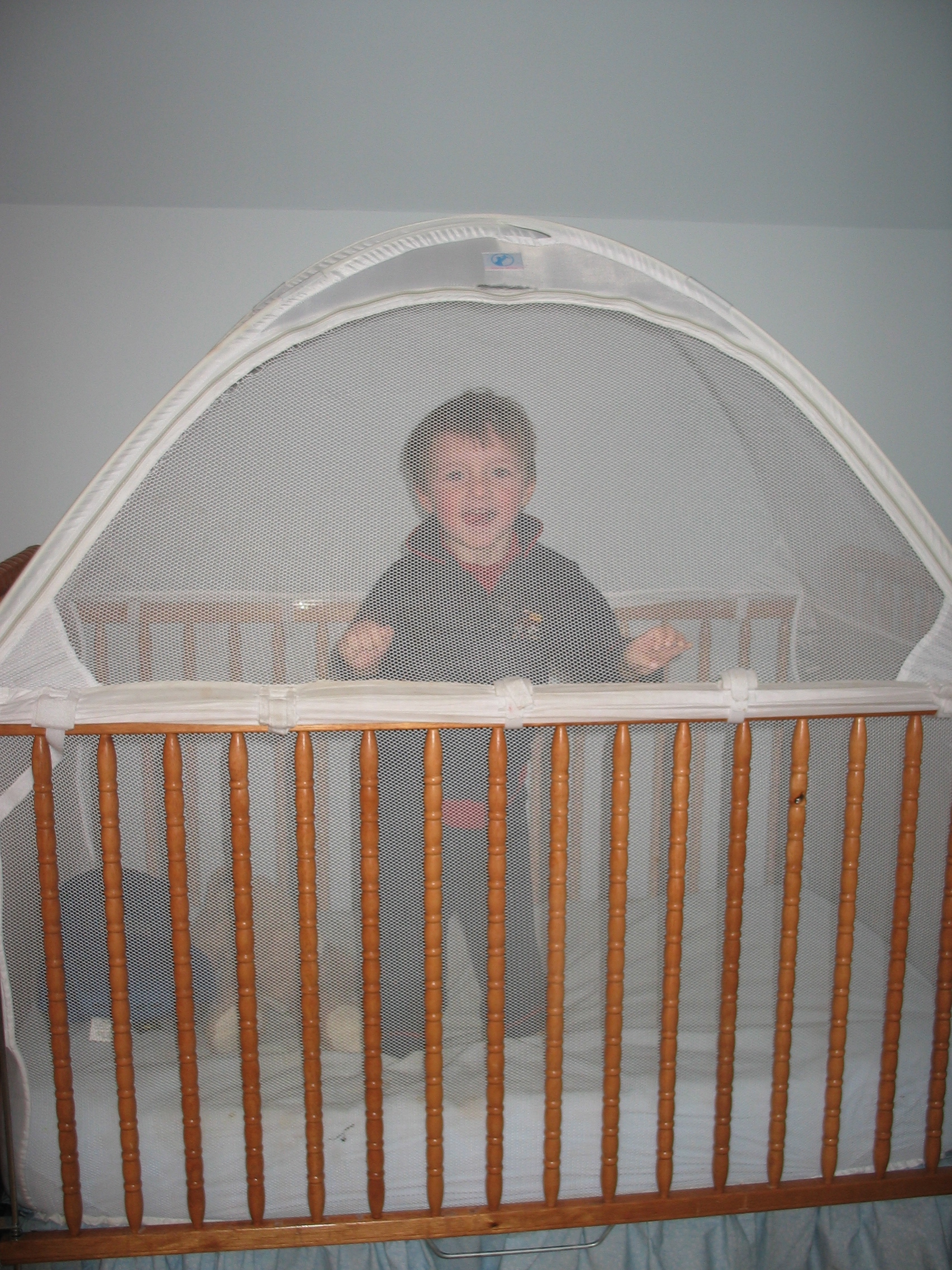It’s a Cage, OMWord, I Just Assembled a Cage For My Child