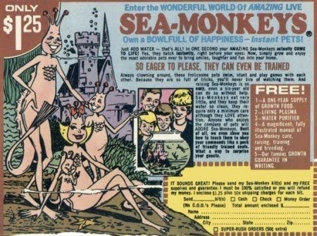 The Father I Used to Have (and Sea Monkeys)